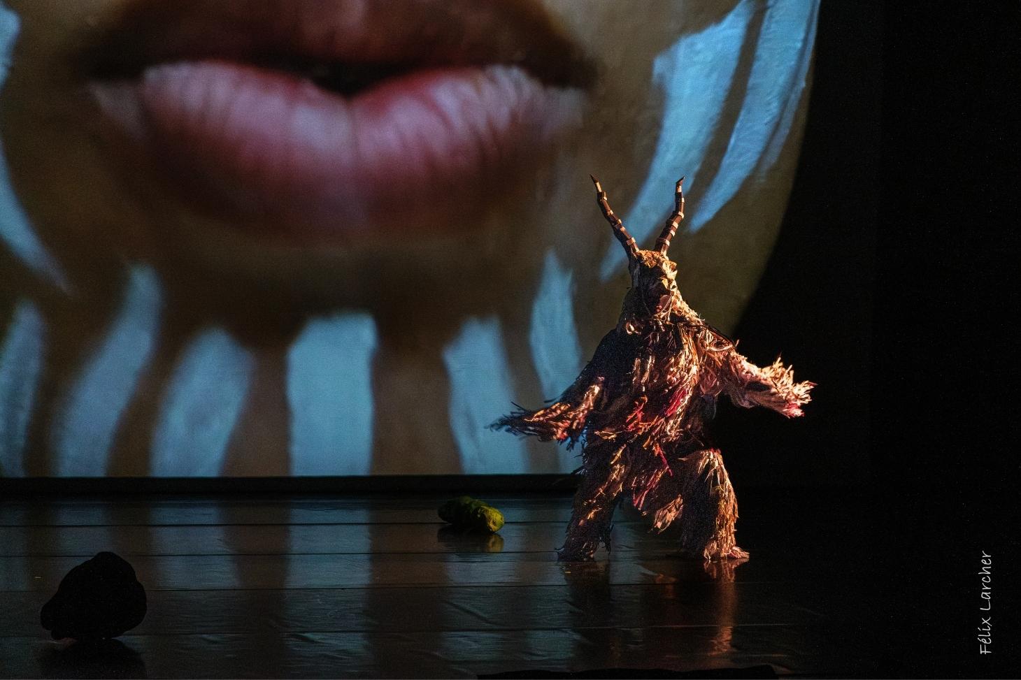 Performance dansée avec costume