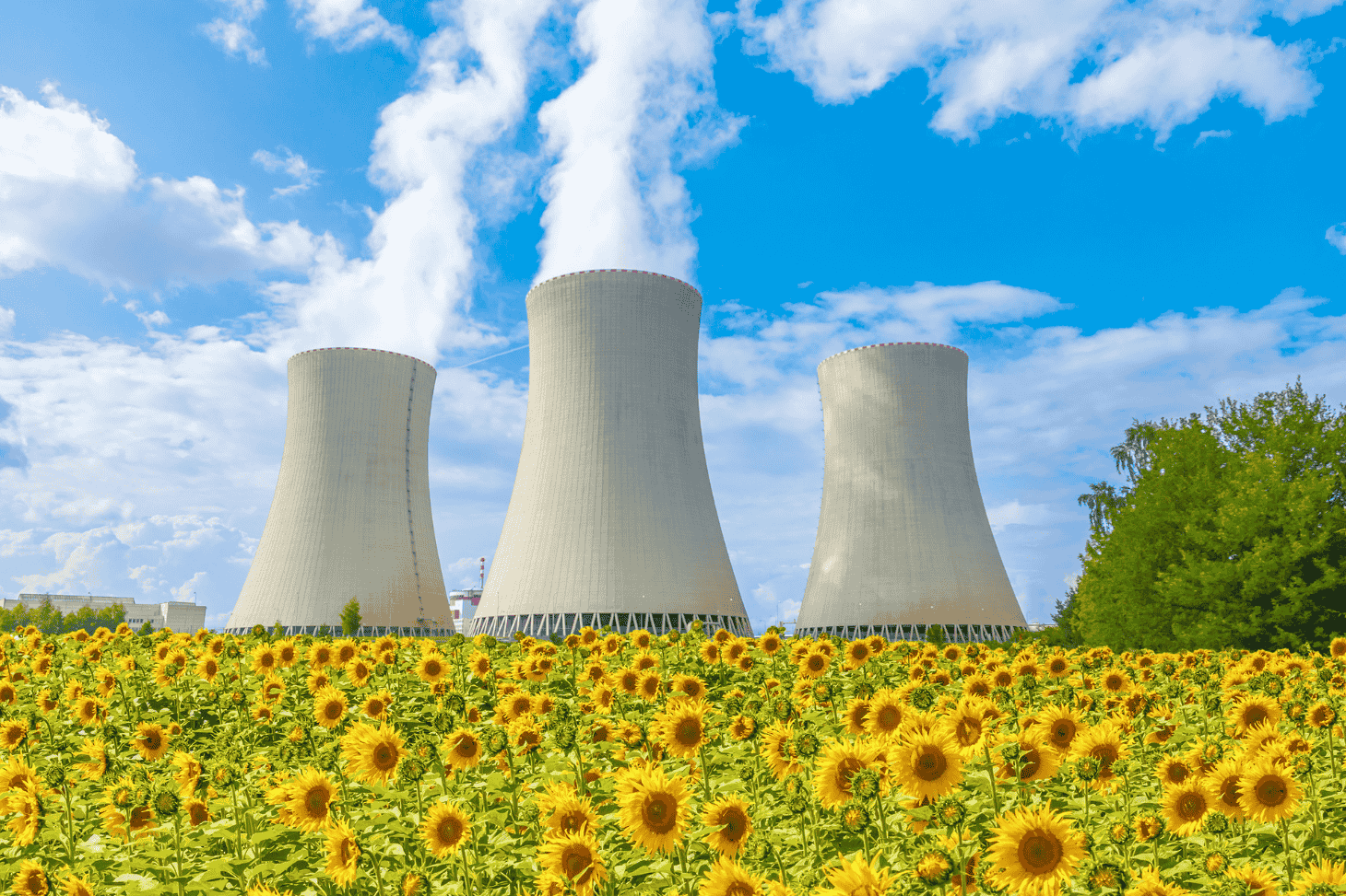 Centrales nucléaires et champ de tournesols