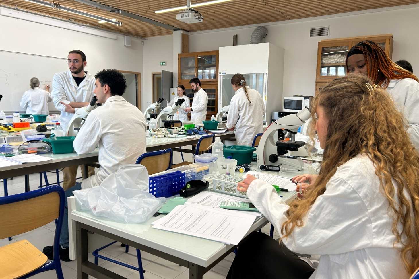 Etudiants en labo de bio en TP
