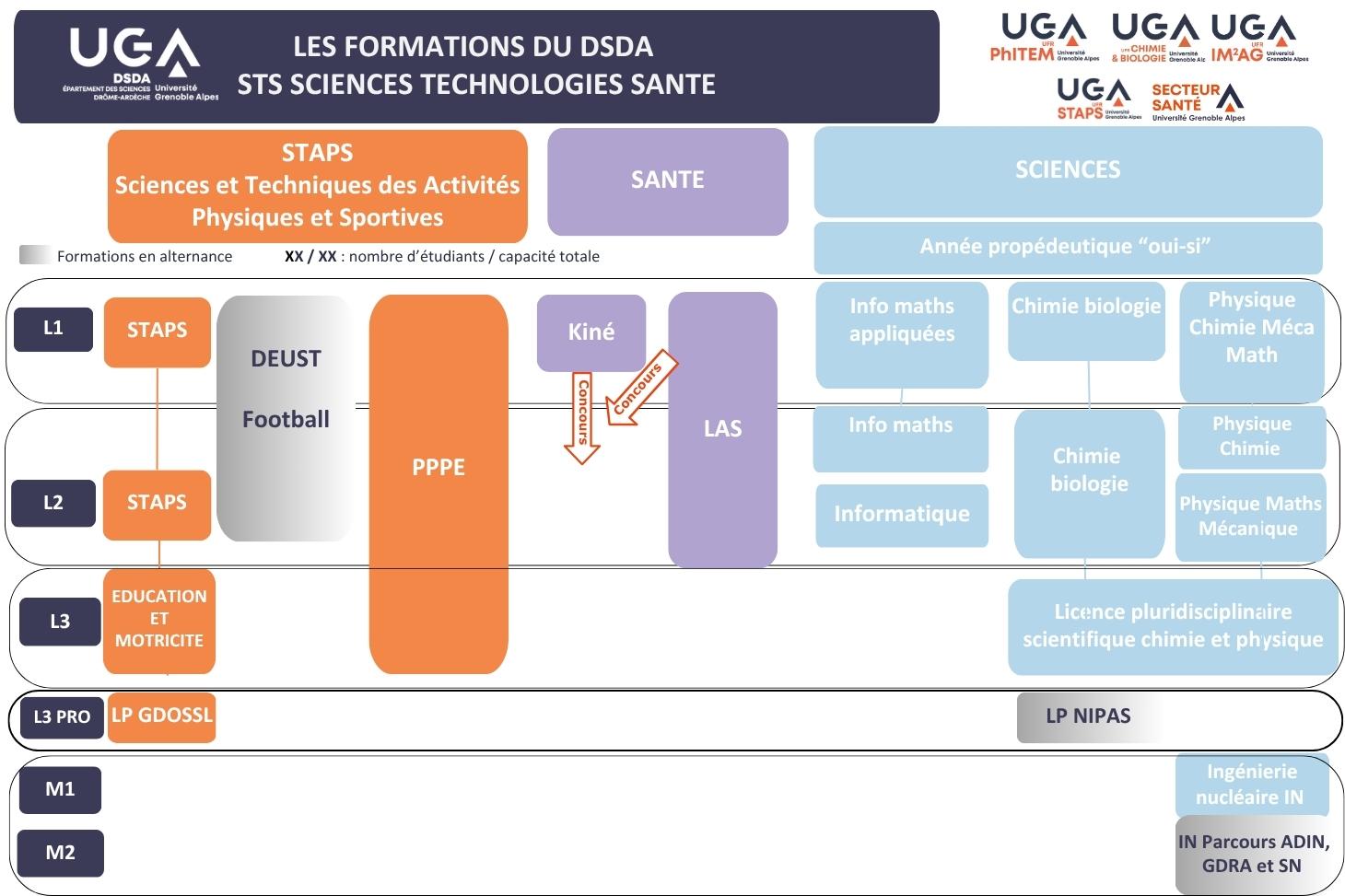 Schéma des formations DSDA