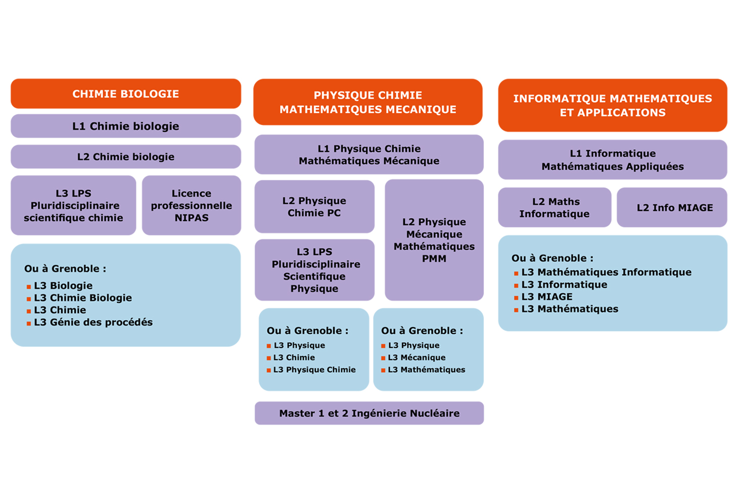 Schéma licences sciences