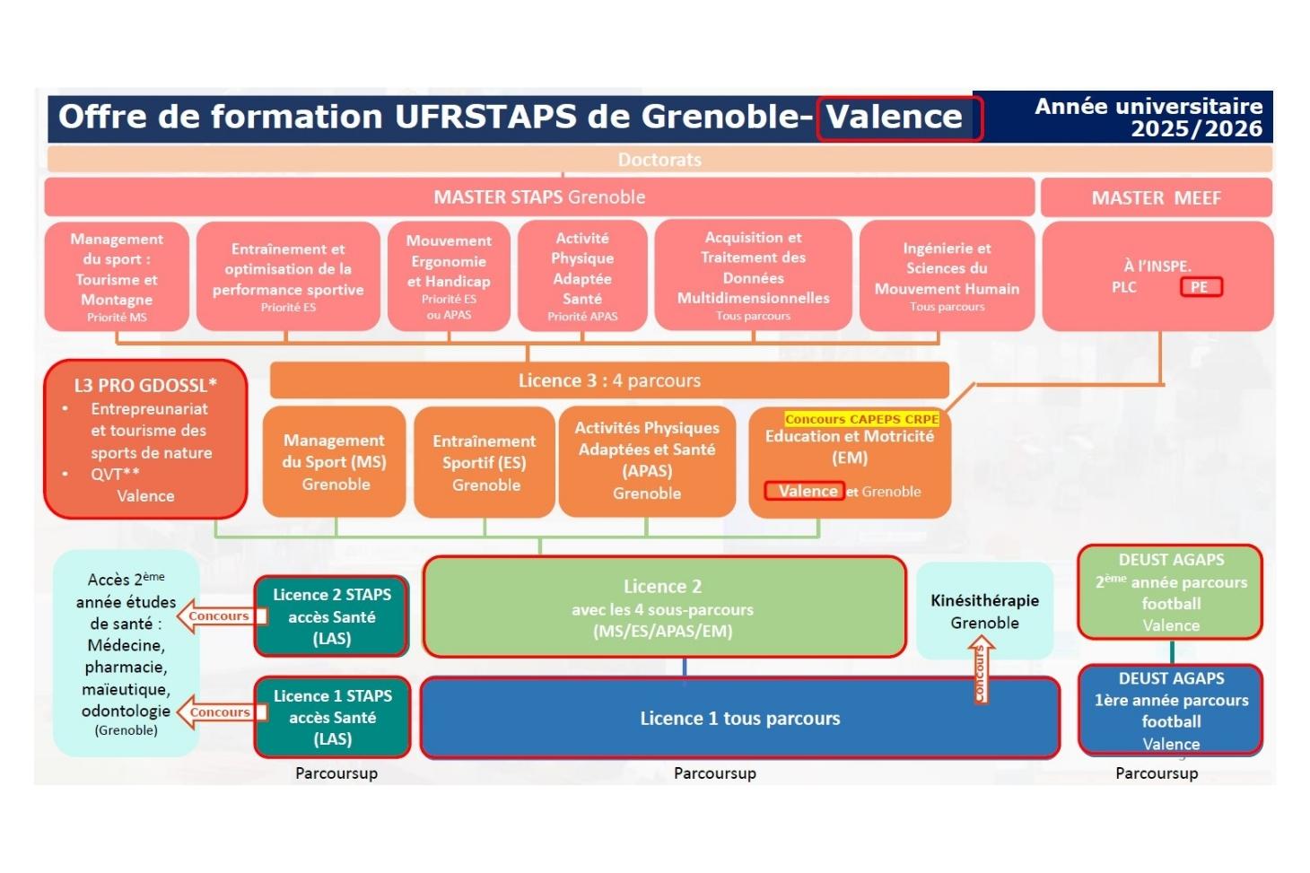 Organigramme des formations STAPS