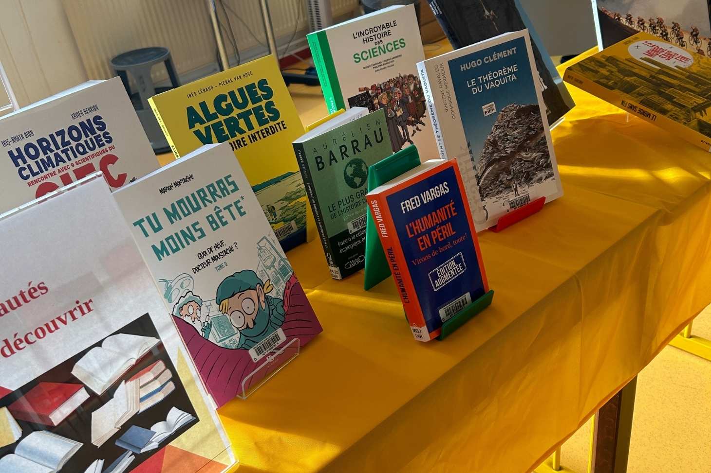 Des BD et des mangas à la bibliothèque