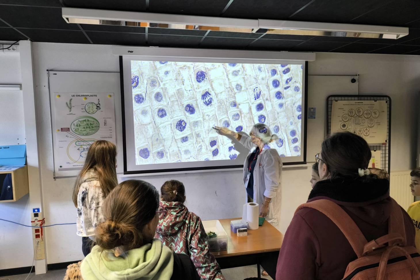 présentation d'une cellule par l'enseignante