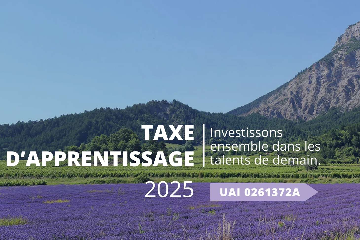 visuel lavandes taxe d'apprentissage